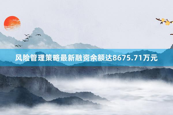 风险管理策略最新融资余额达8675.71万元