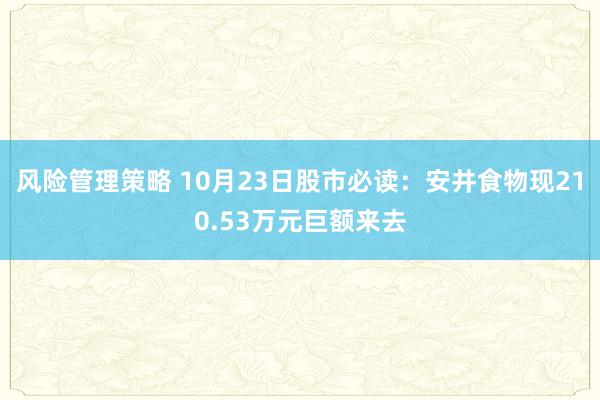 风险管理策略 10月23日股市必读：安井食物现210.53万元巨额来去