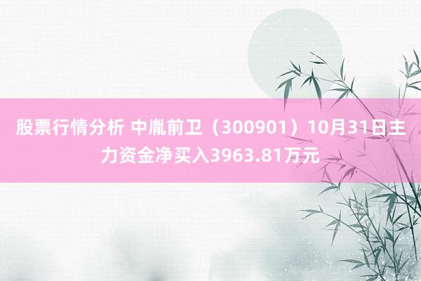 股票行情分析 中胤前卫（300901）10月31日主力资金净买入3963.81万元