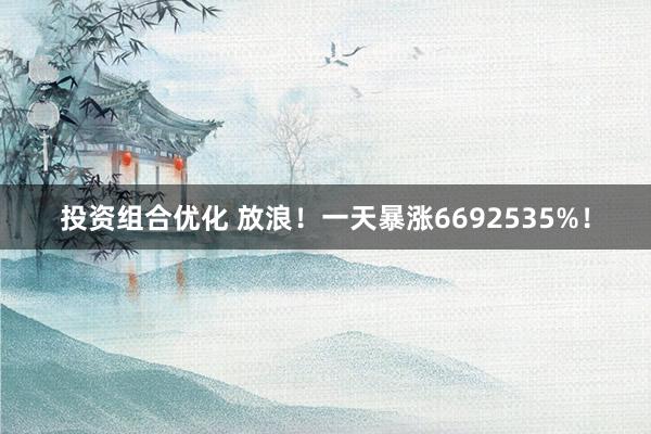 投资组合优化 放浪！一天暴涨6692535%！