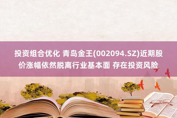 投资组合优化 青岛金王(002094.SZ)近期股价涨幅依然脱离行业基本面 存在投资风险