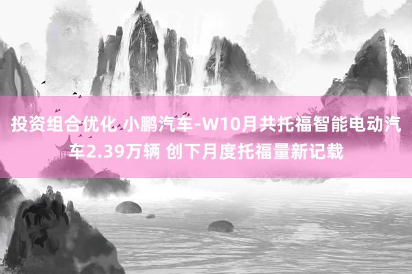 投资组合优化 小鹏汽车-W10月共托福智能电动汽车2.39万辆 创下月度托福量新记载