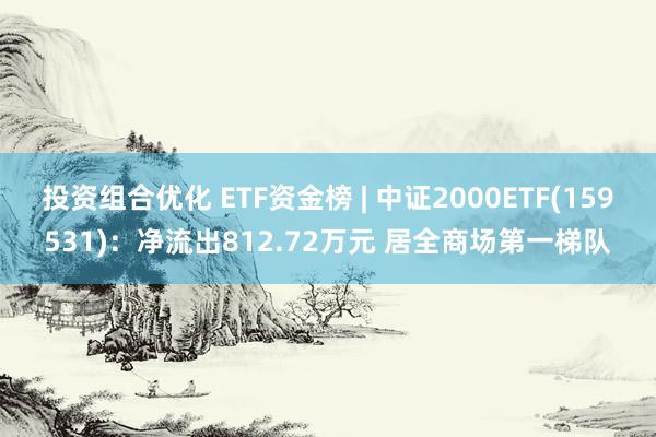 投资组合优化 ETF资金榜 | 中证2000ETF(159531)：净流出812.72万元 居全商场第一梯队