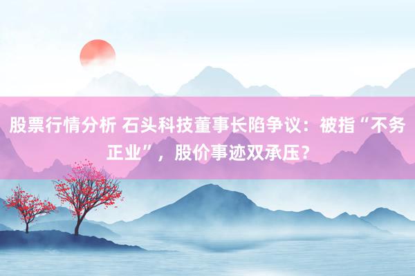 股票行情分析 石头科技董事长陷争议：被指“不务正业”，股价事迹双承压？