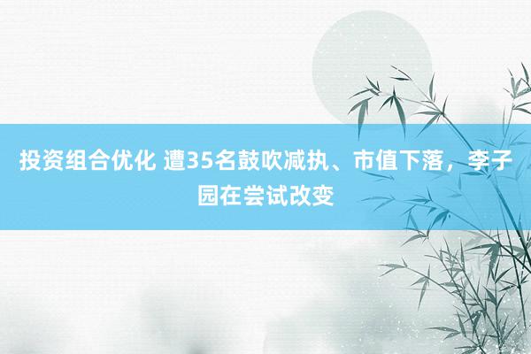 投资组合优化 遭35名鼓吹减执、市值下落，李子园在尝试改变