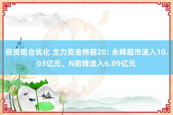 投资组合优化 主力资金榜前20: 永辉超市流入10.03亿元、N前锋流入6.09亿元