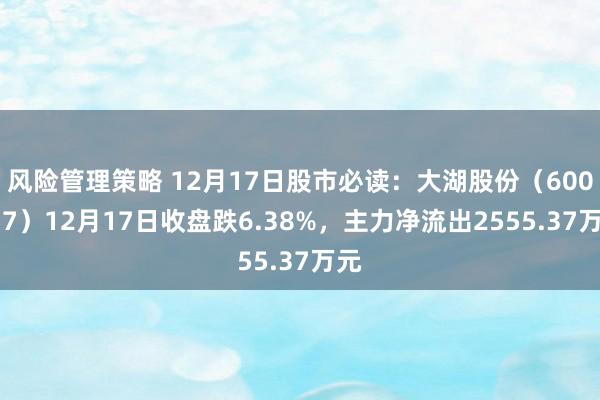 风险管理策略 12月17日股市必读：大湖股份（600257）12月17日收盘跌6.38%，主力净流出2555.37万元