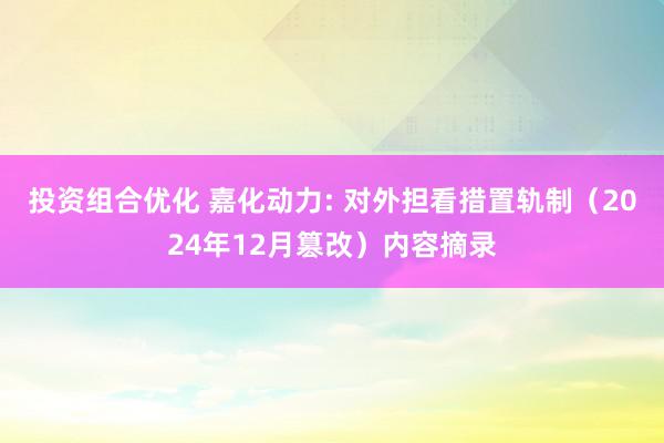 投资组合优化 嘉化动力: 对外担看措置轨制（2024年12月篡改）内容摘录