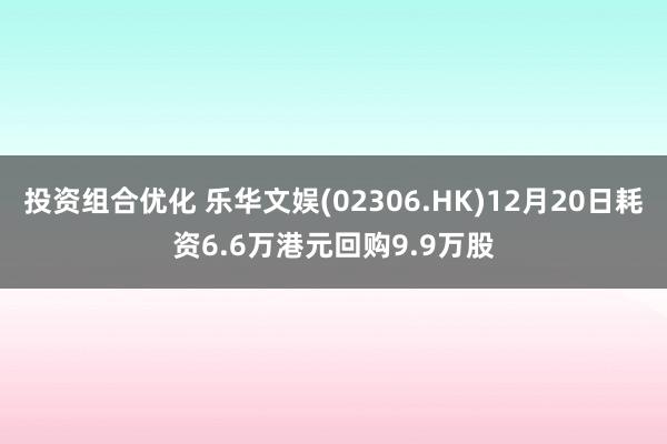 投资组合优化 乐华文娱(02306.HK)12月20日耗资6.6万港元回购9.9万股