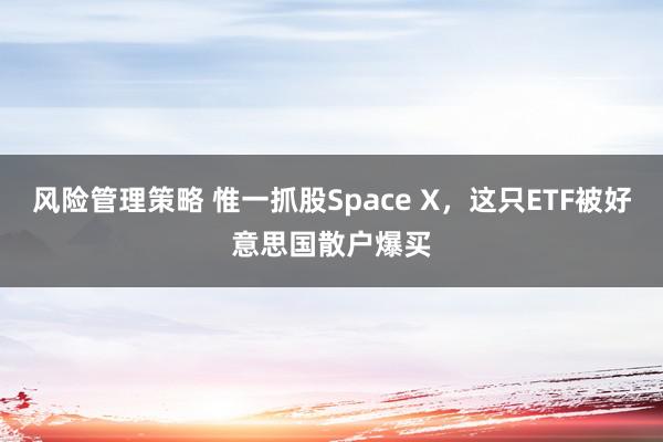 风险管理策略 惟一抓股Space X，这只ETF被好意思国散户爆买