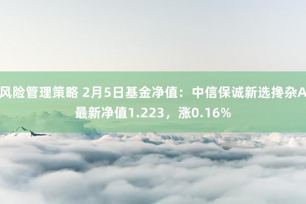 风险管理策略 2月5日基金净值：中信保诚新选搀杂A最新净值1.223，涨0.16%