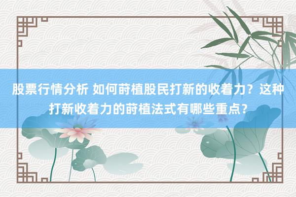 股票行情分析 如何莳植股民打新的收着力？这种打新收着力的莳植法式有哪些重点？